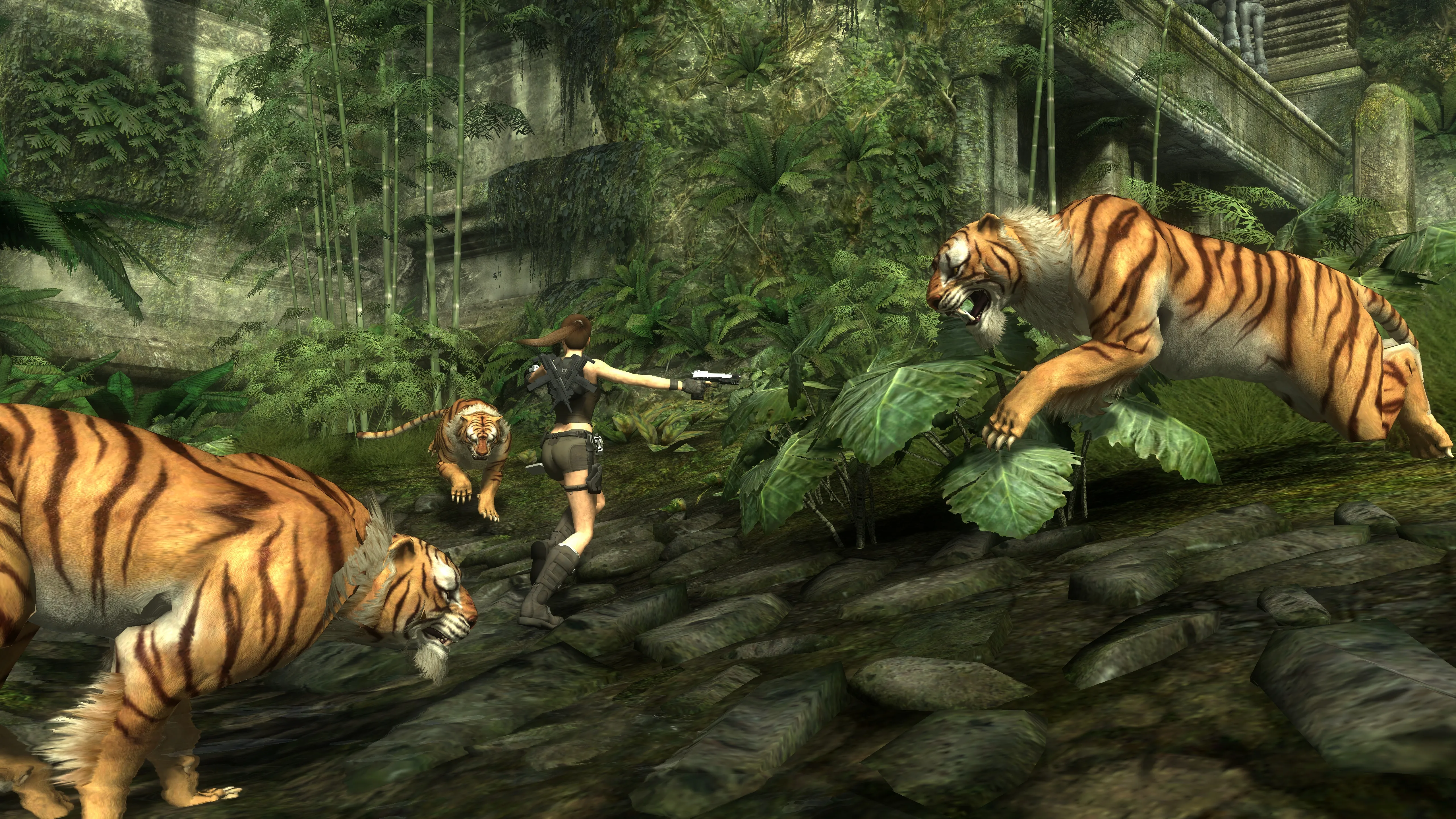 Lara shooting three tigers
